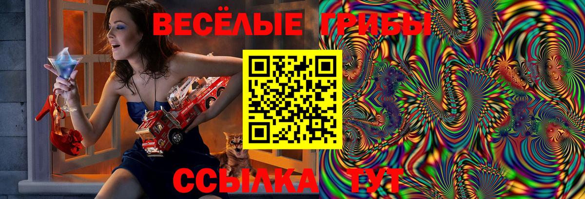 Псилоцибиновые грибы Magic Shrooms  Вход с VPN  Вязьма 