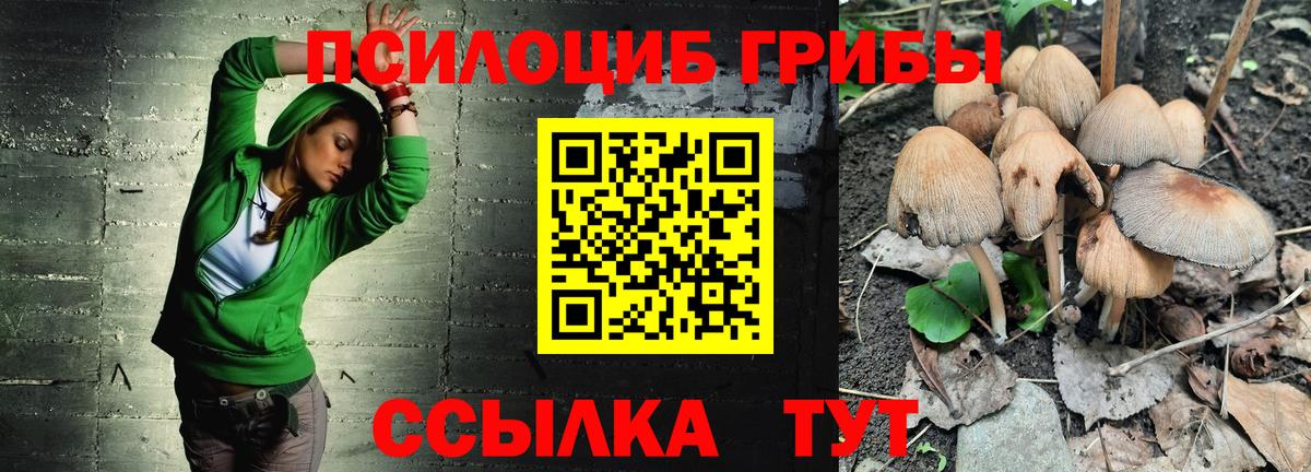 Псилоцибиновые грибы MAGIC MUSHROOMS Вязьма