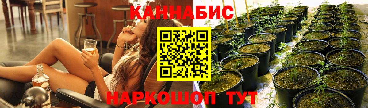 Конопля MAZAR Вязьма